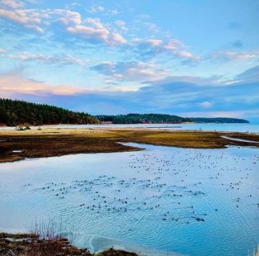 Beautiful Oceanview Retreat 2 Bedroom Home in Port Hadlock