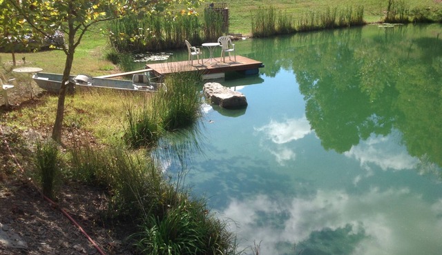 BIG D's POND & North Branch of the Potomac river Camping. in Cumberland