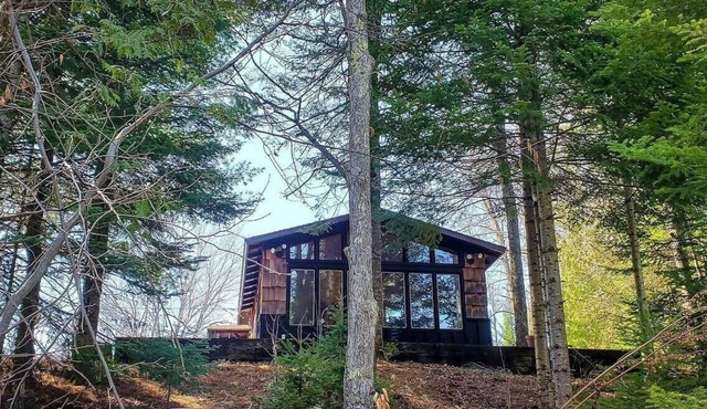Black Bear Lodge: Fish, Hike, and Relax in Michigan's Summer Paradise in Frederic