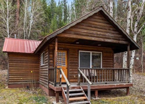 Cabin 1 at Southfork Lodge- sleeps up to 2 in Lowman