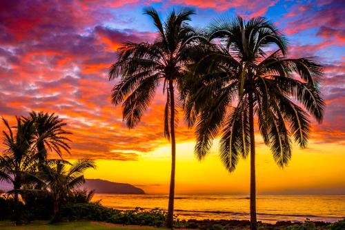 Charming Beach Apartment Your Hawaiian Getaway in Haleiwa