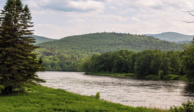 Charming Mountain Cottage, 5-bedroom cottage in The White Mountains in Shelburne