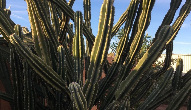 Close to Superstition Mountains Wilderness and Lost Dutchman State Park in Apache Junction