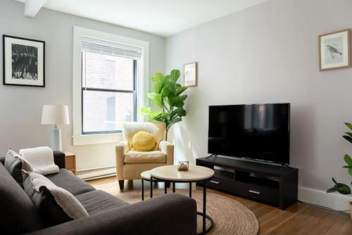Cozy 1br Walk anywhere in Boston