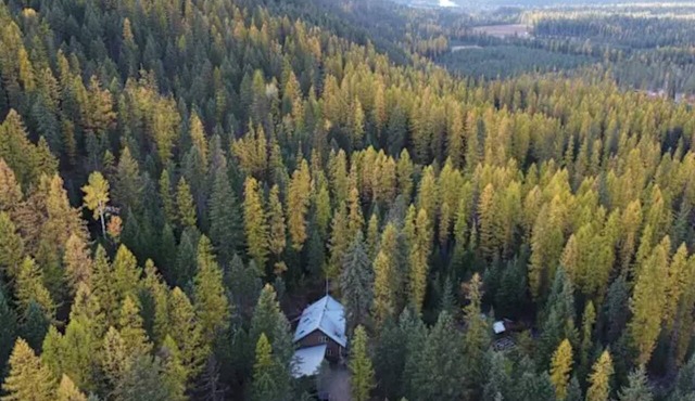 Cozy Mountain Bungalow for camping, relaxing, & exploring in Clark Fork