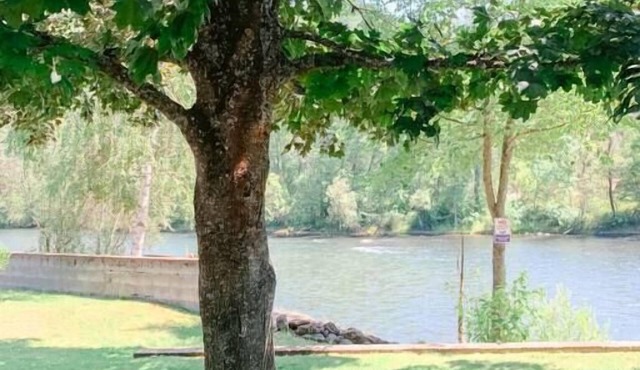 Eagle's Nest Cottage. Spacious 2 BR river retreat on the Rogue River. Enjoy ping-pong, BBQ, board games, and fishing. Remote work enabled with high-speed WiFi. Unplug and unwind! in Trail