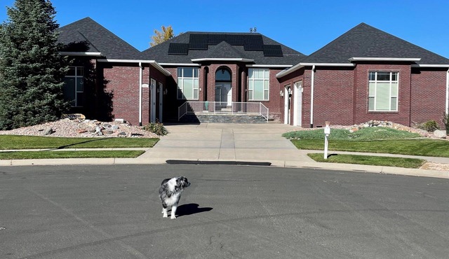 Executive Master Suite easy commute to the airport, and downtown Denver. in Brighton