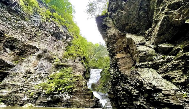 Forest Tiny Cabin & Majestic Waterfall in West Fulton