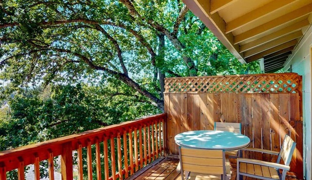 Full duplex with patio-deck mountain views washer&dryer dogs allowed in Eugene