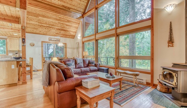 Gorgeous home with views of the river, fireplace, washer&dryer, & dog-friendly in Rhododendron