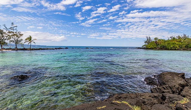 Hale Honu Steps from the Ocean at Maunaloa Shores Condo in Hilo!