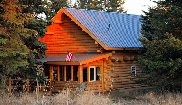 Hunter - Unique Alaskan log home in trees & wildflowers on 14-acre homestead. in Anchor Point