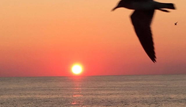 It's time for that Beach Getaway! in Panama City