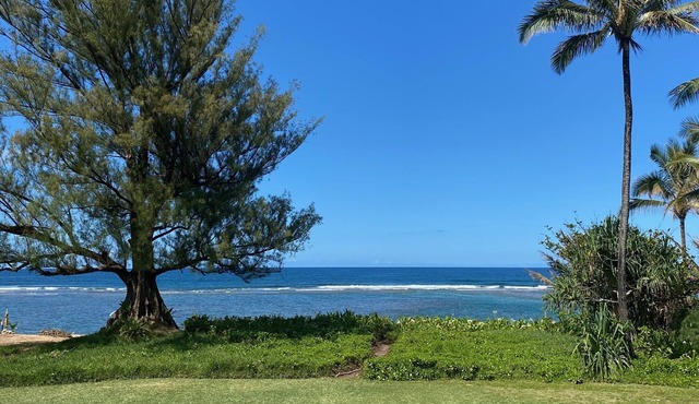 Kauai North Shore Oceanfront - Mountain View Beachouse TVNC#1136 Tsunami Zone in Hanalei