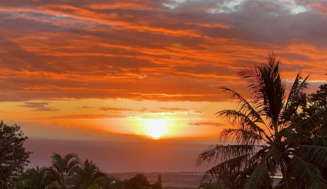 Kona Sunset Ocean View Two Studio Oasis