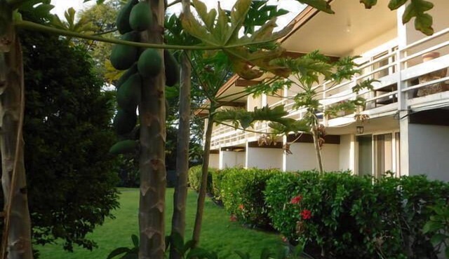 Kona White Sands A4 Romantic Ocean View! in Kailua-Kona