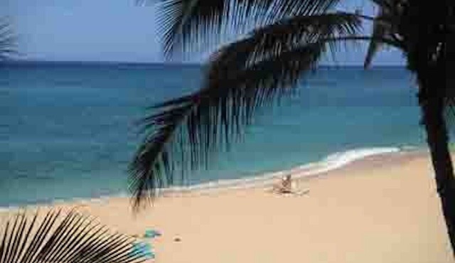LEGAL BEACHFRONT CONDO-GREAT VIEWS!-FREE PKG/WIFI, POOL,HOT TUB,TENNIS/PICKLE 6