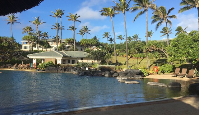 Lovely resort on the Garden Island Paradise of Kauai (Xmas week 2023 available!) in Koloa