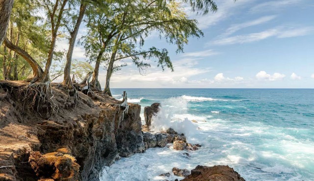 Luxury Oceanfront Guest House in Gated Community