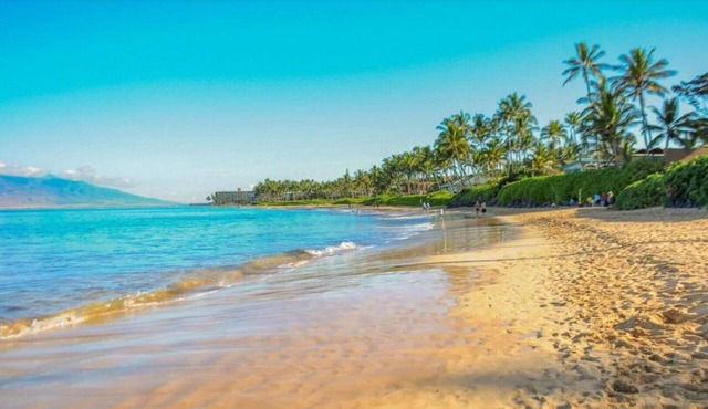 Maui Getaway - View, Amenities, Weather, Close to Everything yet Private!