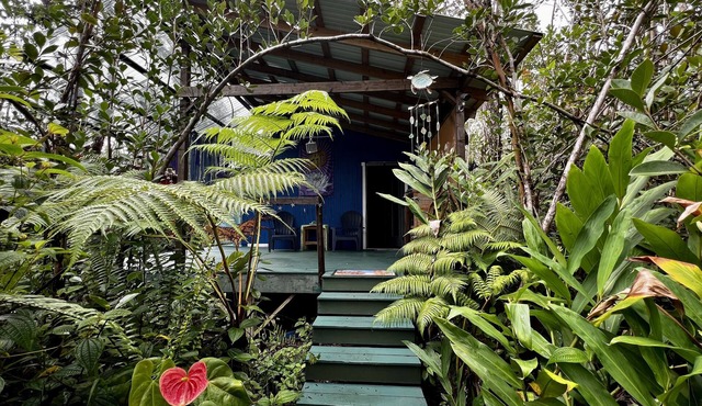Mermaid Lair with Rainforest Shower!
