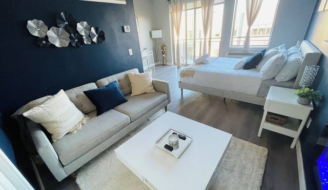 Modern Spacious Studio Apartment in Saint Paul