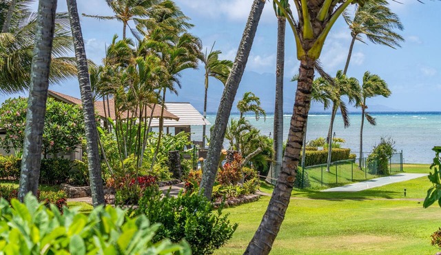 Molokai Oceanview Oasis | Wavecrest C211