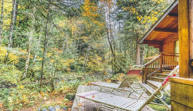 Moondance Cabin in Rhododendron