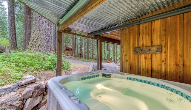 Mt Hood lodge in Forest Setting with Firepit & NEW Private Hot Tub in Rhododendron