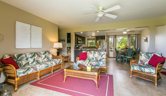 Newly Remodeled Ocean View Condo, 2 bedroom, 2 bath, No stairs!