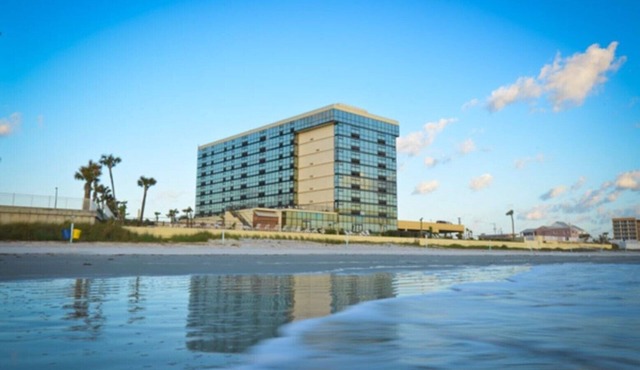 Ocean View Studio Condo - turtle in Daytona Beach