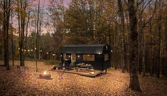 Off-Grid Tiny Cabin Retreat with Fire Pit & Forest Views in Bovina, New York in Bovina