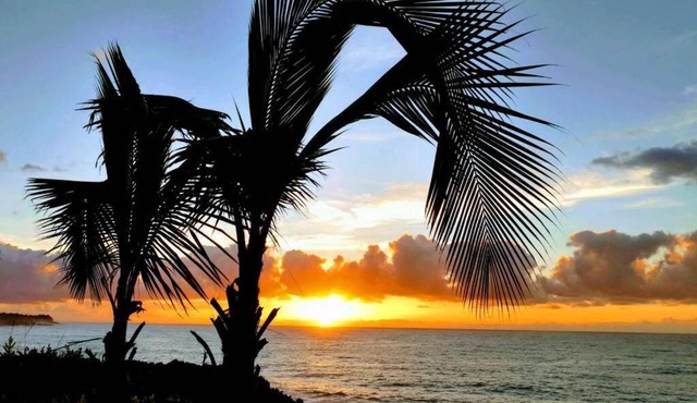 Pahoa Tropical Garden Getaway in Pahoa
