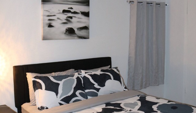 Peaceful 1-bedroom apartment in downtown Austin -RedRiver Haven Retreat in Austin