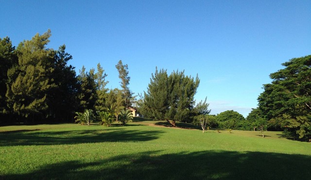 Peaceful Haiku Retreat Beach 10 Min & Paia 15 Min