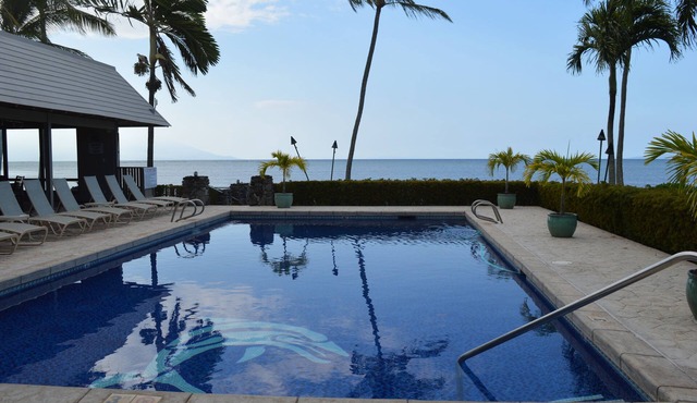 Peaceful Ocean View. Ground Floor. Classy, clean and quiet.