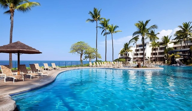 Plenty Of Fun Things to Do Nearby! 2 Relaxing Units, Whale-watching!