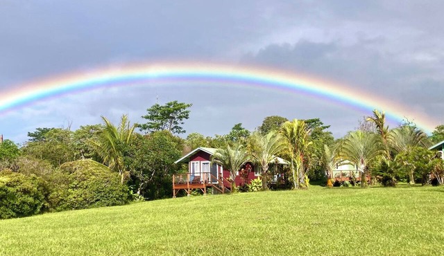Puna Rainforest Retreat Hotspring - Purple Passion Cottage in Pāhoa