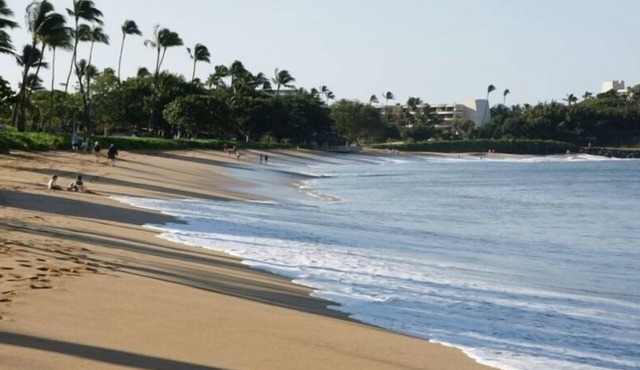 Reasonable Rates, Premium Upgrades, Sleep 4, Recent Renovated, Semiprivate Lanai