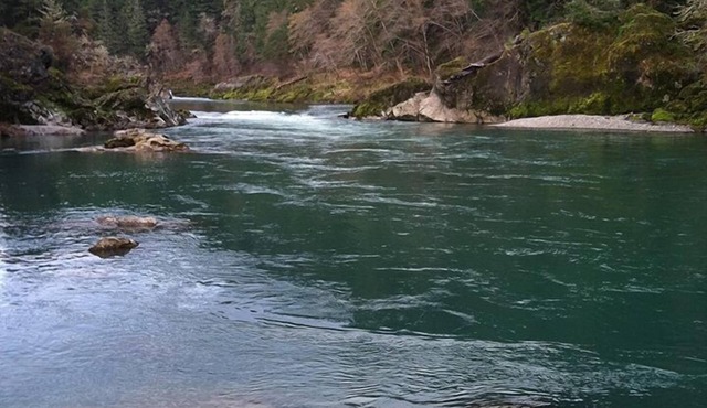 River Vista Homes: Perfect for Fishing, Swimming, and Relaxing by the Water in Idleyld Park