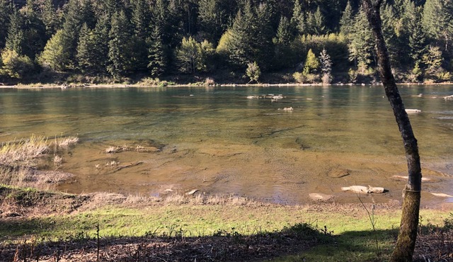 RiverFront Property in the Heart of Umpqua Wine Tour Country in Umpqua