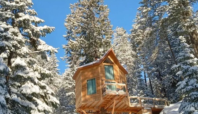 Romantic Treehouse Getaway with Peaceful Mountain Views! in Newport