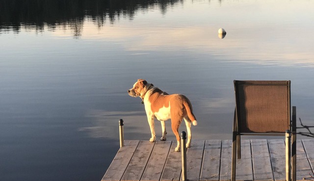 Secluded 1-bedroom cabin in Liberty with pond frontage in Liberty