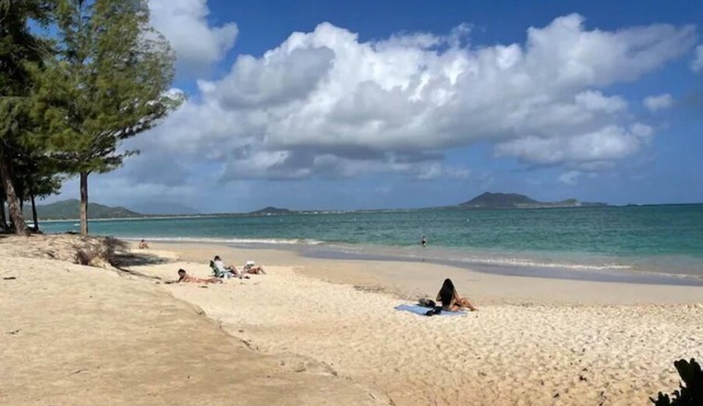 Short walk to Kailua Beach across the street-Quiet AC's-Lg. Kitchen-Patio-Grill