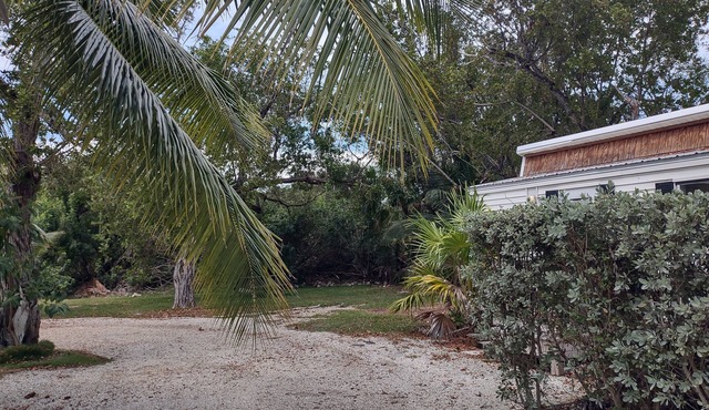 Soothing cabin in Sugarloaf Key in Summerland Key