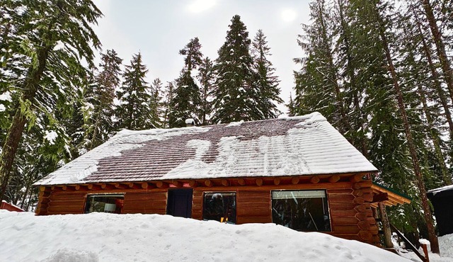 Spacious Steiner Cabin on quiet street and stream. in Government Camp