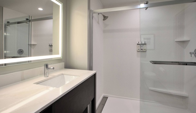 Studio King Suite in Grand Rapids with AC, WiFi, Fitness Room and Breakfast in Grand Rapids