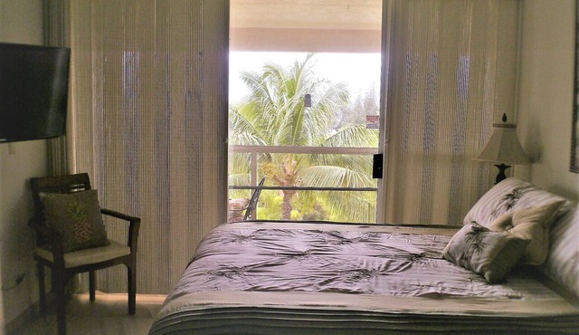 Studio With Ocean & Mountain Views. Last minute discount, Aug. & Sept, 20% off.