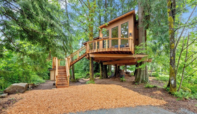 Tree House- Two bedroom plus loft- sustainable living! in Bellingham