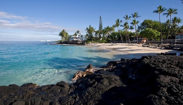 Tropical Escape l 2 Rooms, Beach Access, Free Bikes, Pool & Pet-Friendly Stay